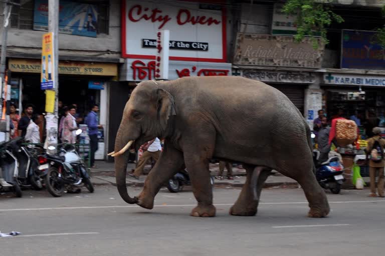 মস্তান