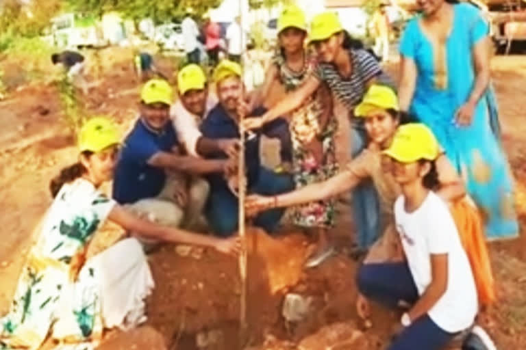 tree-planting