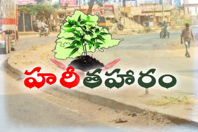 telangana government officials Neglected haritha haram