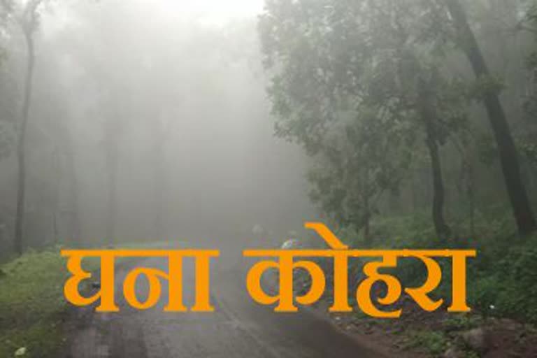 weather report of bilaspur