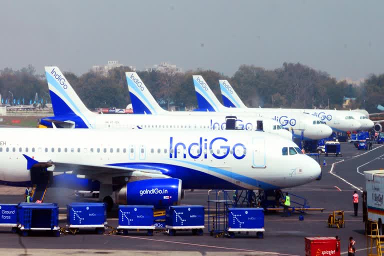 बिजनेस न्यूज, IndiGo fleet size crosses 250 planes, इंडिगो के बेड़े में विमानों की संख्या 250 के पार हुई, भारतीय विमानन कंपनी