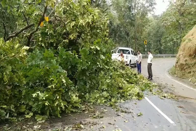 traffic problem created on highway f