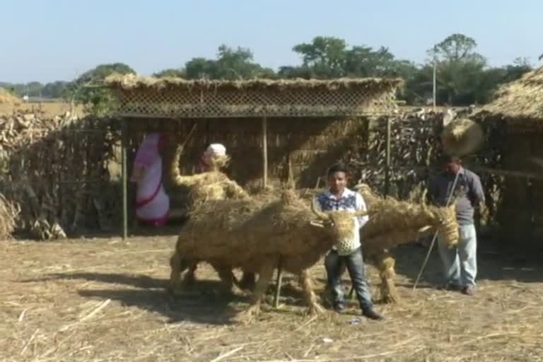 preparetion for magh bihu in nalbari