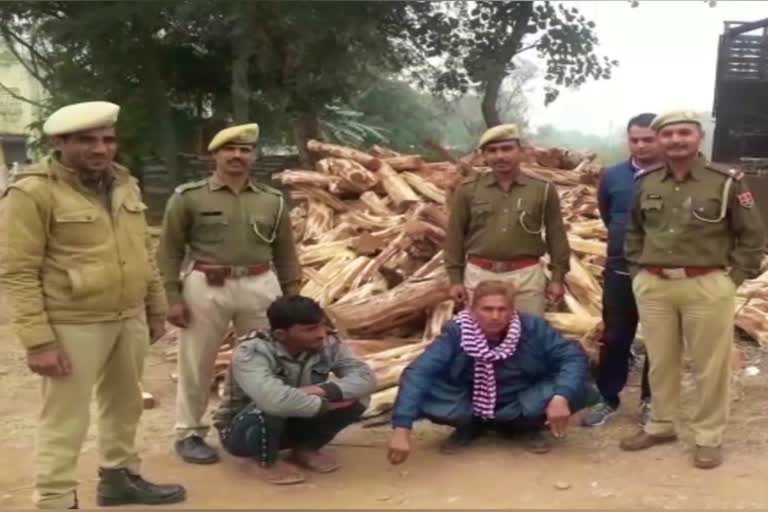 चंदन तस्कर गिरफ्तार, sandalwood smuggler arrested