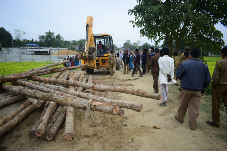 BOKO WOOD LOGS SEIZED