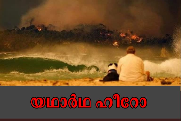 David Warner news  cricket australia news  bushfire crisis news  കാട്ടുതീ വാർത്ത  ഡേവിഡ് വാർണർ വാർത്ത  ക്രിക്കറ്റ് ഓസ്‌ട്രേലിയ വാർത്ത