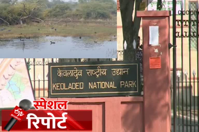 केवलादेव नेशनल पार्क में  ई-रिक्शा,  keoladeo national park