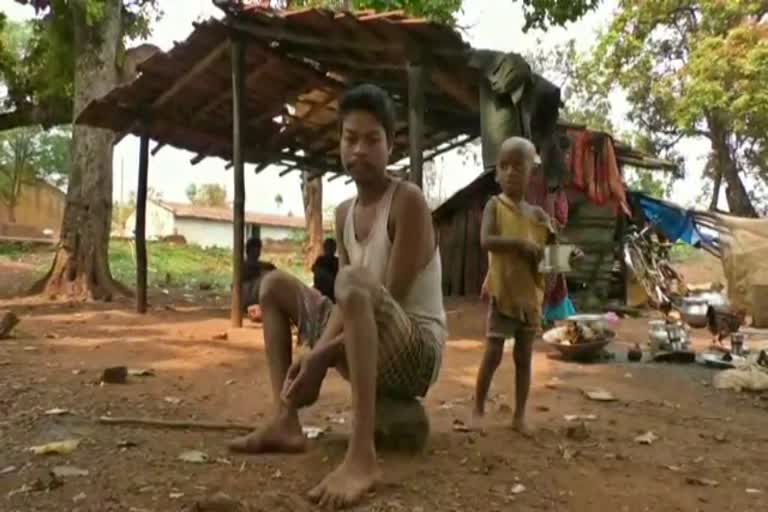 Increase in population of Birhor tribe in chaibasa