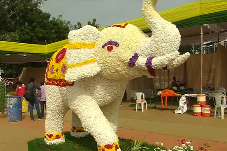 flower show in vijayawada