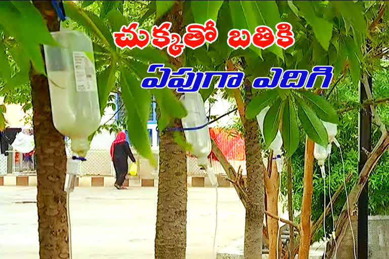 the plants in nizamabad hospital were watered by using saline bottles