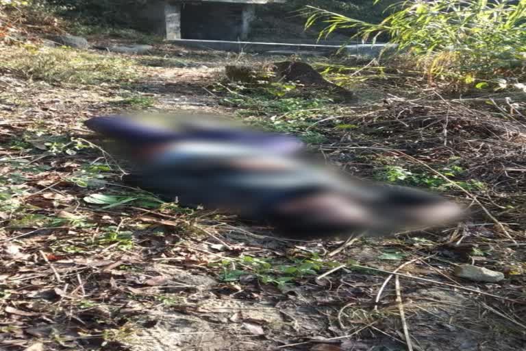 dead body found near hamirpur central school