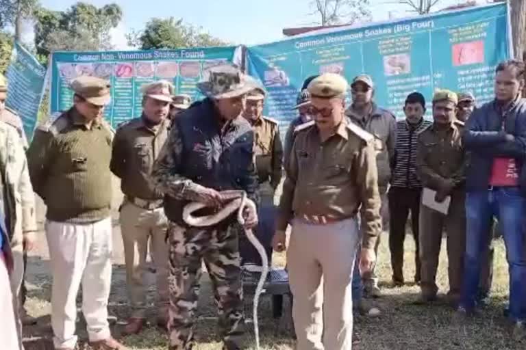 haldwani snake training updates, haldwani snake training updates  हल्द्वानी सर्प प्रशिक्षण समाचार