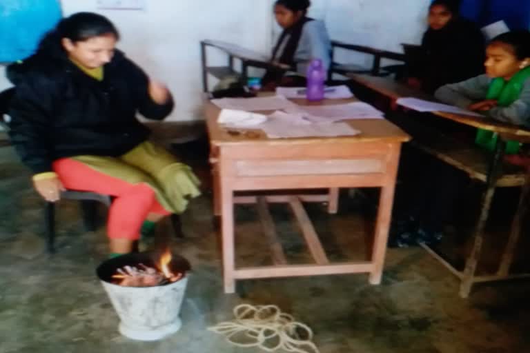 school teacher ordered to student for bring wood collection