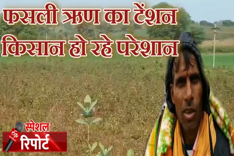 काश्तकारों को फसल ऋण की जानकारी नहीं, New tenants not aware of crop loan, रबी सीजन के लिए फसल ऋण, crop loan for Rabi season, banswara latest news,  बांसवाड़ा खबर, special report, स्पेशल रिपोर्ट