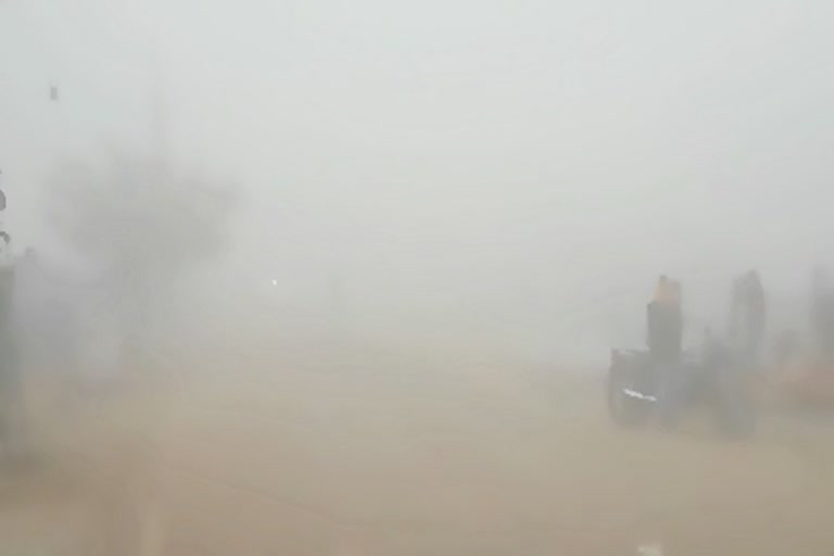 Kota news, dense fog, कोटा में कड़ाके की ठंड