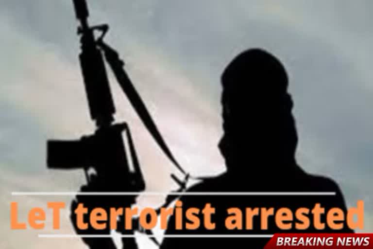 Lashkar-e-Taiba terrorist arrested in Srinagar