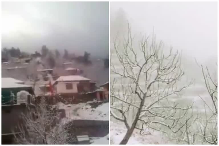 Light snowfall in Kinnaur