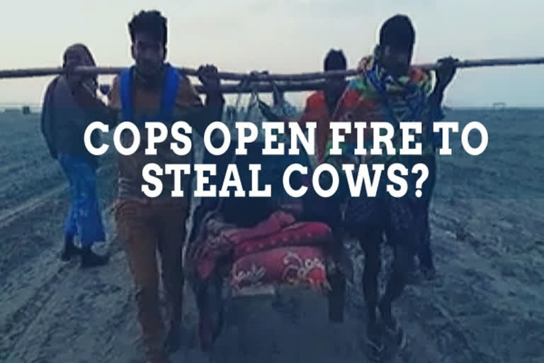 Assam: One killed, 3 injured in police firing as they stop cops from stealing cows