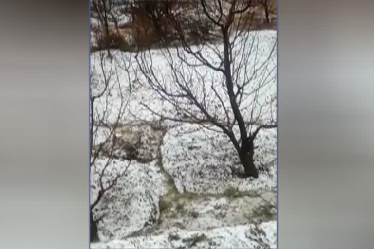 fresh snowfall in rampur in shimla