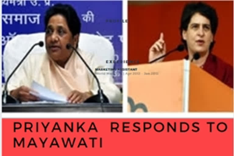 Priyanka Gandhi responds to Mayawati