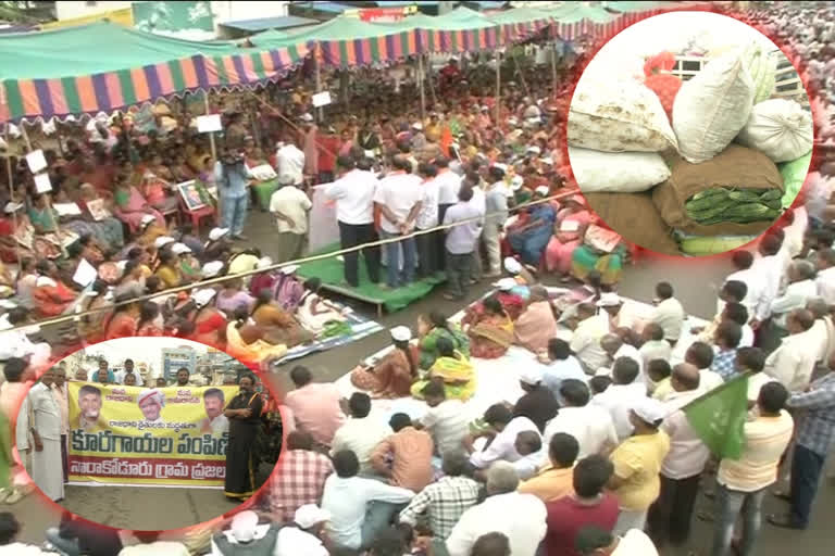 farmers donate vegetables to capital farmers