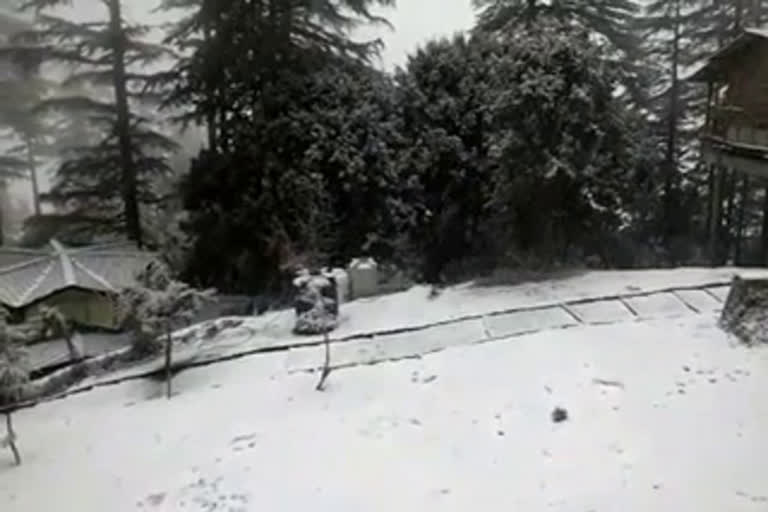 धनोल्टी में बर्फबारी न्यूज, dhanolti snowfall updates