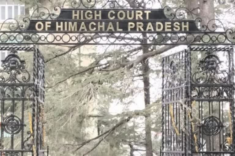 shimla High court, शिमला हाईकोर्ट