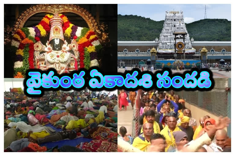 Vykunta_Ekadasi_Rush in tirumala tirupathi