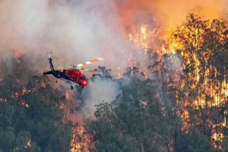 australia-bushfires