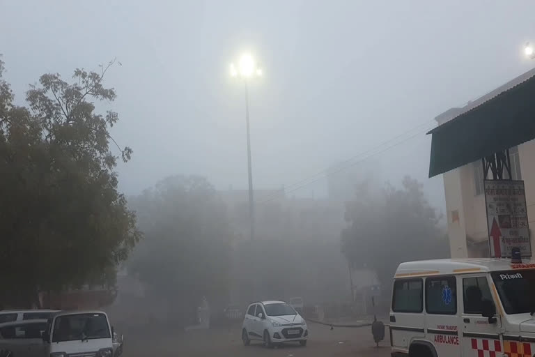 चित्तौड़गढ़ में ठंड से परेशानी,Fog in Chittorgarh,Severe cold in Chittorgarh