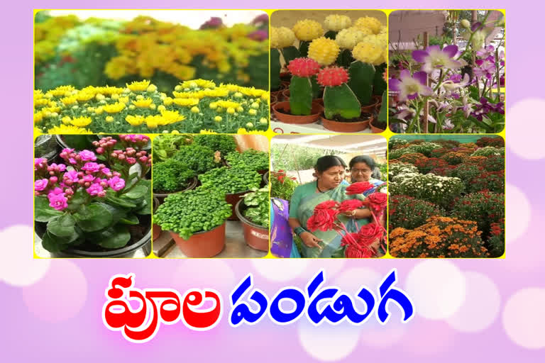 State Level Flower Show in Vijayawada