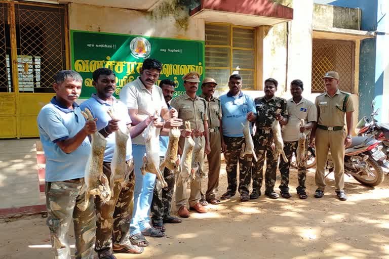 in ramanathapuram foresters-secured-9-haresand one poacher-detained