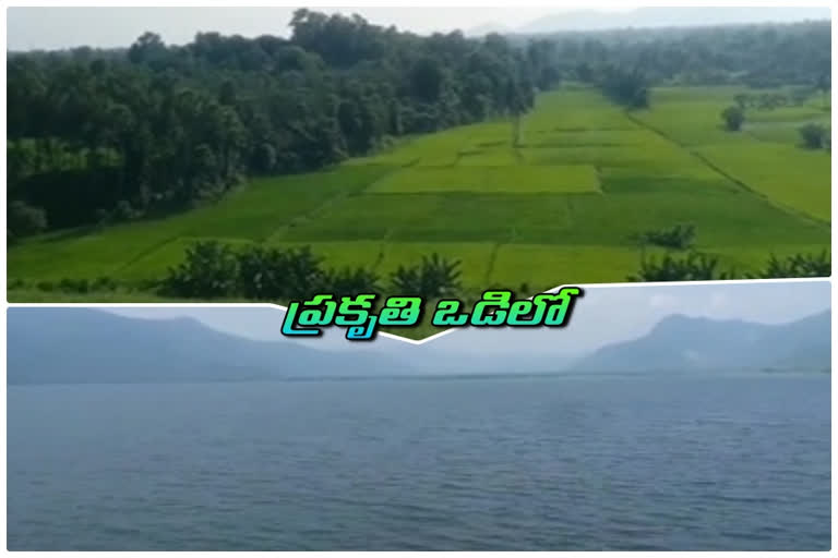 beauty of nature in Raiwada reservoir at visakhapatnam