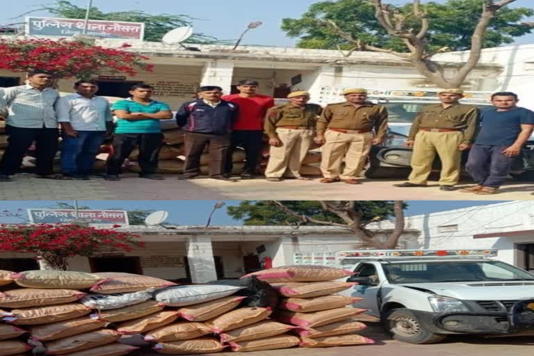 rajasthan news, jalore news, डोडा अवैध पोस्त बरामद, नोसरा पुलिस की कार्रवाई, 420 किलोग्राम डोडा अवैध