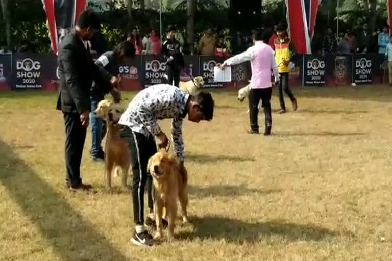 Dog Show in Dholpur, धौलपुर न्यूज