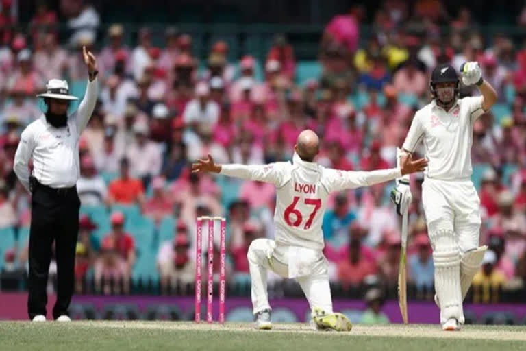 aus vs nz nathan lyon takes five wicket and puts new zealand under pressure in sydney test