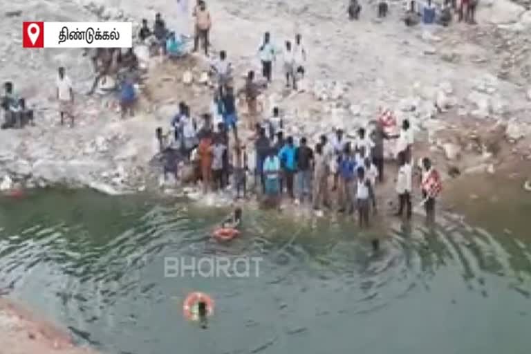 Dindigul, Brother-sister drowns in water