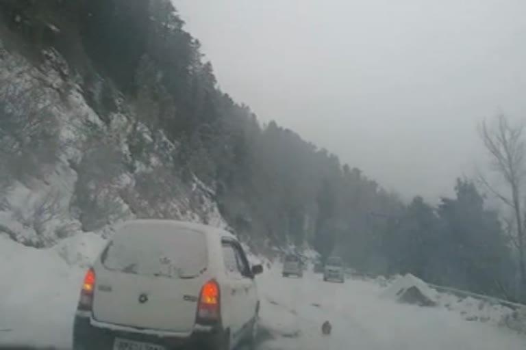 snowfall again in narkanda shimla