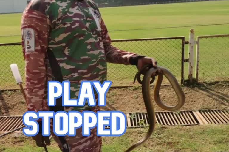 ranji-trophy-snake-catcher-seizes-two-snakes-from-ground-during-mumbai-vs-karnataka-match