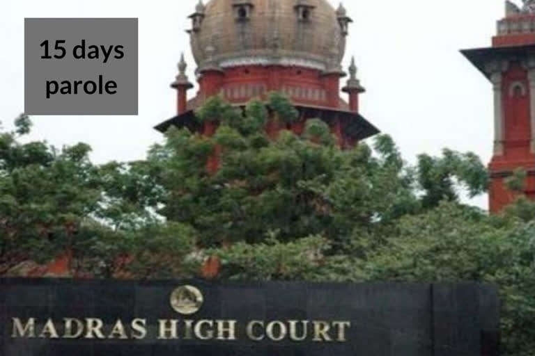 Rajiv Gandhi assassination  Life convict  Granted  15 days parole  Madras  High Court  രാജീവ് ഗാന്ധി വധം  മദ്രാസ് ഹൈക്കോടതി  രാജീവ് ഗാന്ധി വധക്കേസ് പ്രതികള്‍ക്ക് പരോള്‍