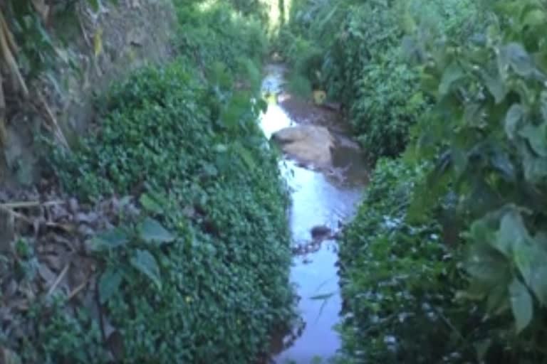 The Rajakkadu river, filled with liquor bottles, became a waste  മദ്യക്കുപ്പികളാൽ നിറഞ്ഞ്  മാലിന്യ വാഹിനിയായി മാറി രാജാക്കാട് തോട്