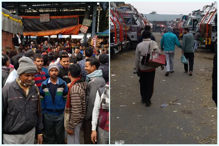 Fruit traders strike in Azadpur mandi in delhi