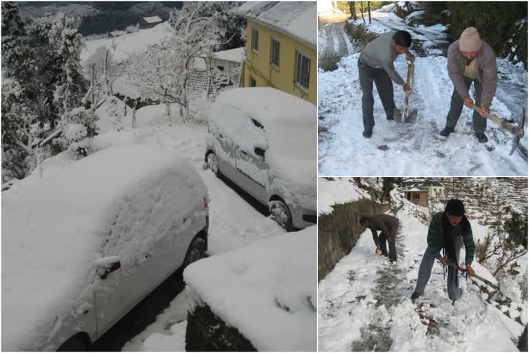 Life affected due to snowfall in mandi