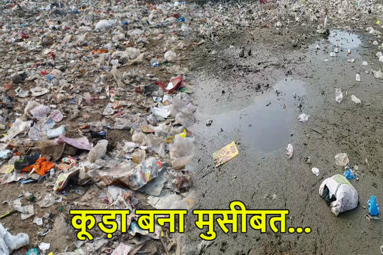 garbage become trouble in baprola in delhi