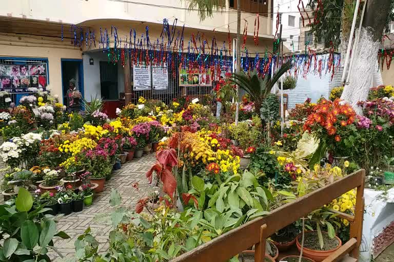 Exhibition of flowers in samastipur