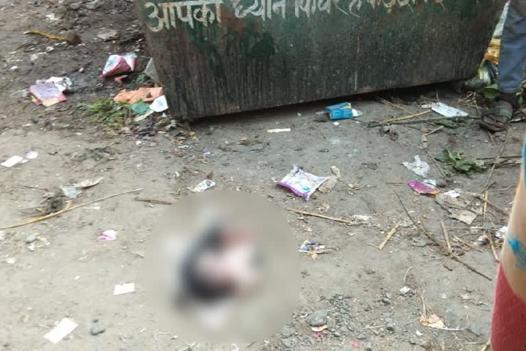 Newborn's body found in Giridih