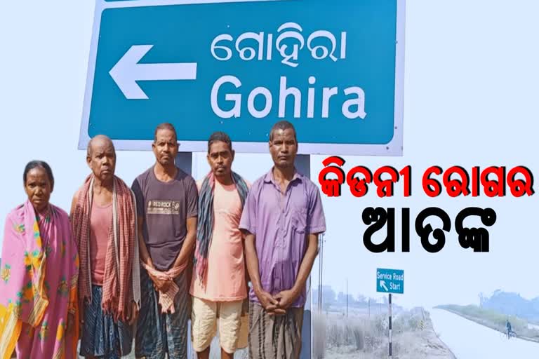 villagers of gohira, villagers of gohira village suffering from kidney disease, gohira village of keonjhar,  suffering from kidney disease, ଗାଁକୁ ଗ୍ରାସିଛି କିଡନୀ ରୋଗ, ନିରବଦ୍ରଷ୍ଟା ପ୍ରଶାସନ, କେନ୍ଦୁଝର ଜିଲ୍ଲା ଗୋହିରା ଗାଁ