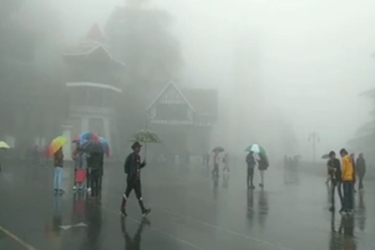 weather news in shimla