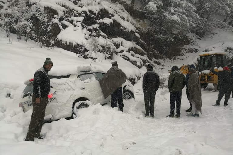 Haryana youths stuck in Narkanda due to heavy snowfall in shimla