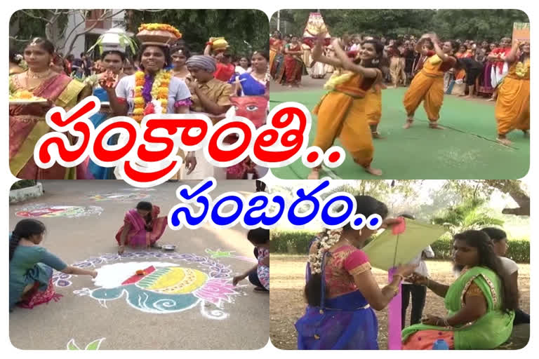 celebrating sankranti at sri padmavati women's university in tirupathi